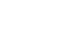 Skool-logo-white-600x379